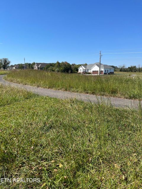Tiny photo for Nunnehi Tr, Vonore, TN 37885 (MLS # 1317946)