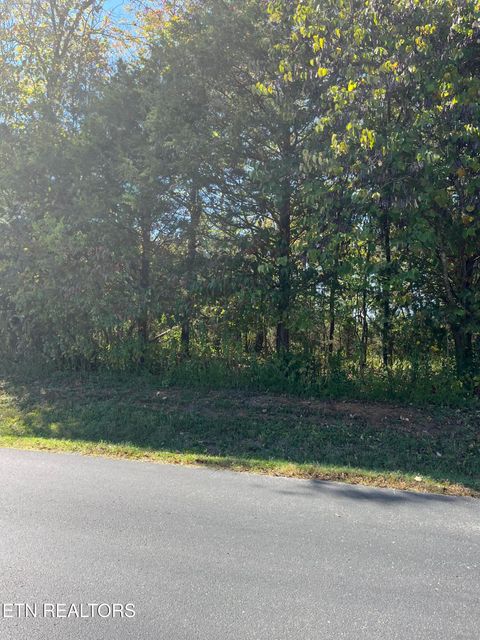 Tiny photo for Nunnehi Tr, Vonore, TN 37885 (MLS # 1317946)