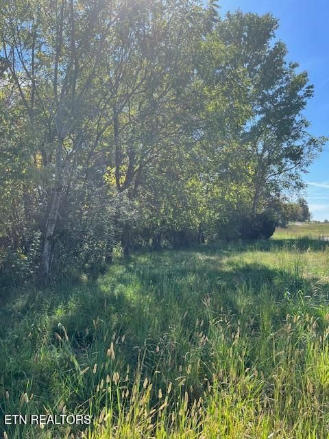 Tiny photo for Nunnehi Tr, Vonore, TN 37885 (MLS # 1317946)