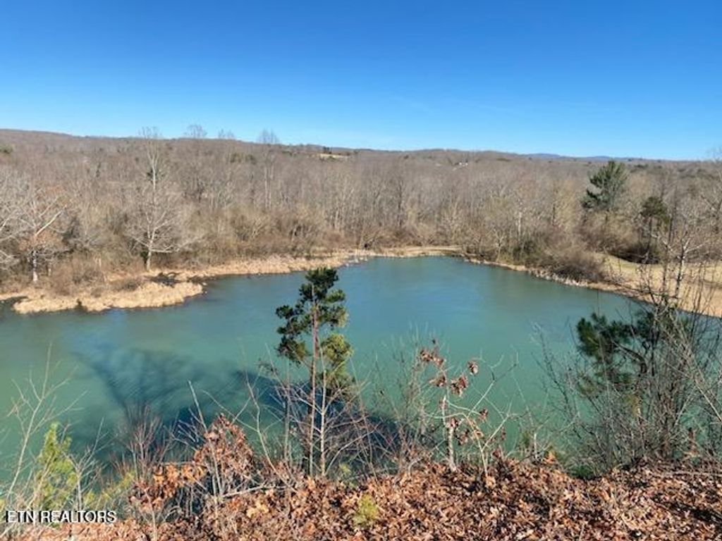 Photo of 2036 Helenwood Detour Rd, Helenwood, TN 37755 (MLS # 1340095)