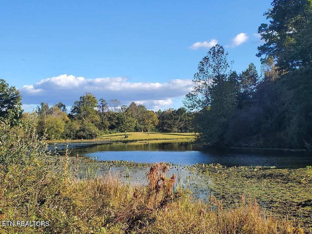 Photo of 2036 Helenwood Detour Rd, Helenwood, TN 37755 (MLS # 1340095)