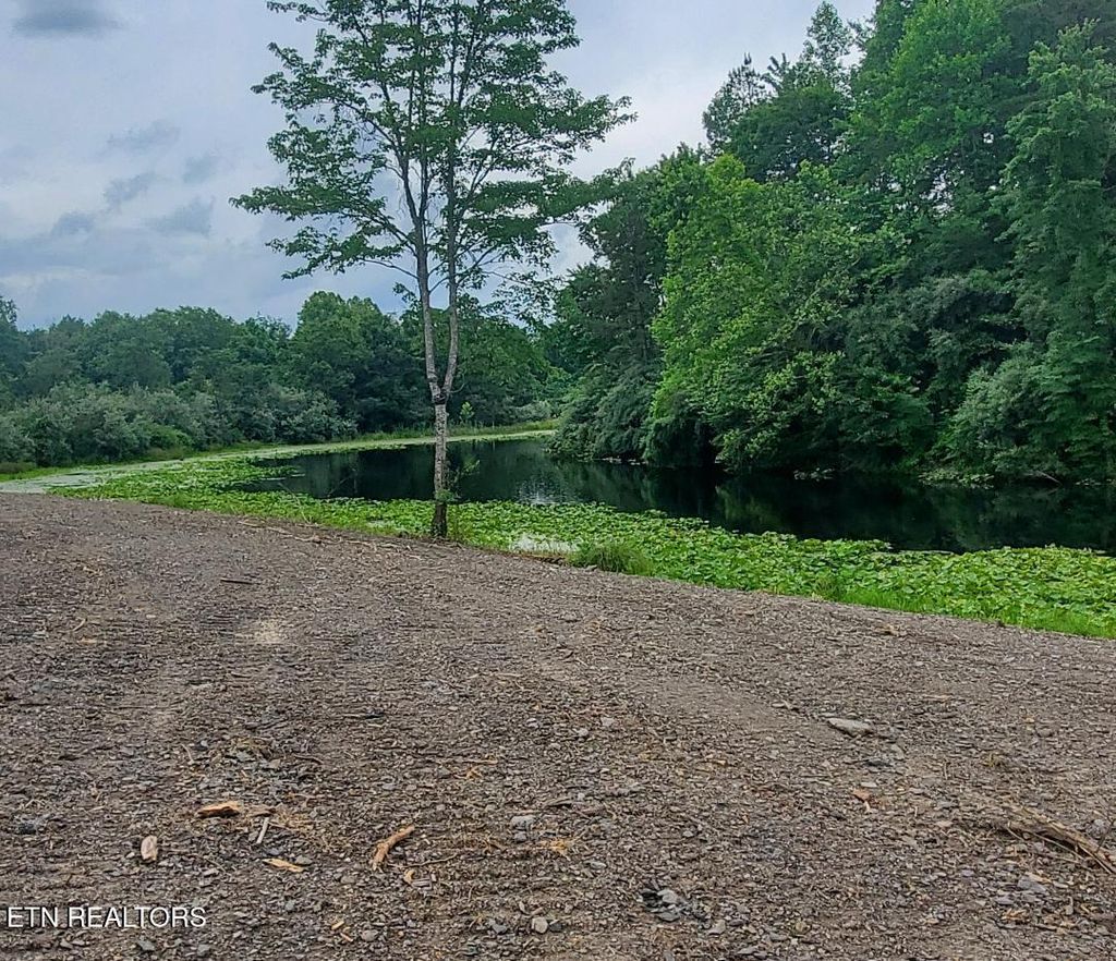 Photo of 2036 Helenwood Detour Rd, Helenwood, TN 37755 (MLS # 1340095)
