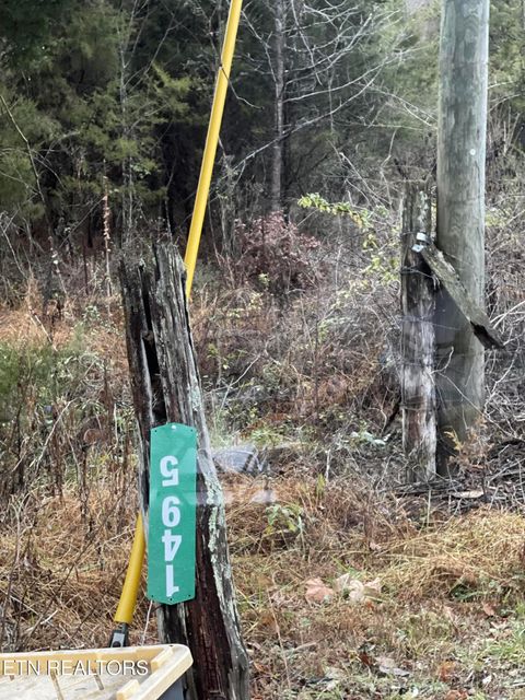 Tiny photo for Reagan Valley Rd, Tellico Plains, TN 37385 (MLS # 1325005)