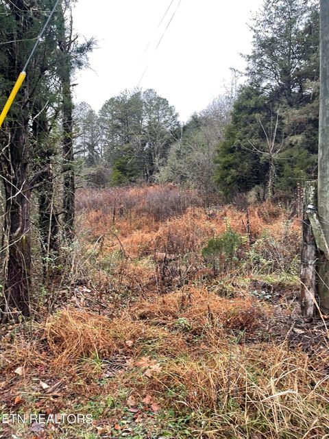 Tiny photo for Reagan Valley Rd, Tellico Plains, TN 37385 (MLS # 1325005)