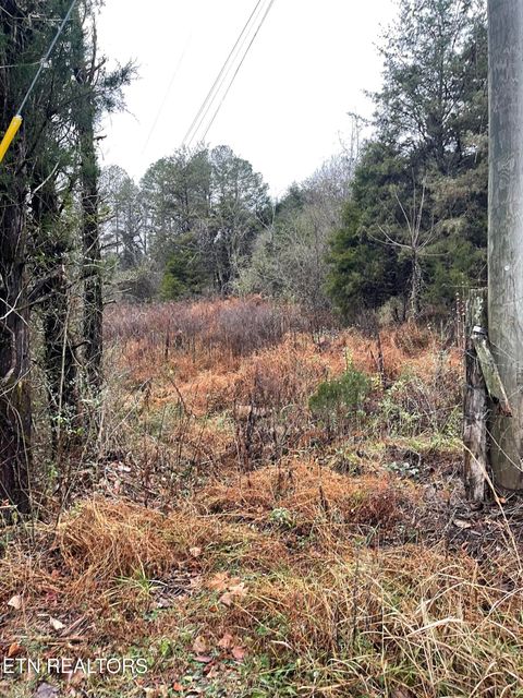 Tiny photo for Reagan Valley Rd, Tellico Plains, TN 37385 (MLS # 1325005)