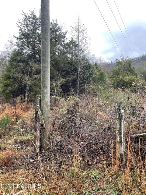 Tiny photo for Reagan Valley Rd, Tellico Plains, TN 37385 (MLS # 1325005)