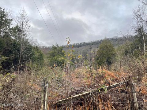 Photo of Reagan Valley Rd, Tellico Plains, TN 37385 (MLS # 1325005)