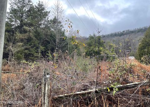 Tiny photo for Reagan Valley Rd, Tellico Plains, TN 37385 (MLS # 1325005)
