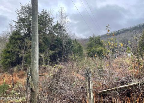 Tiny photo for Reagan Valley Rd, Tellico Plains, TN 37385 (MLS # 1325005)