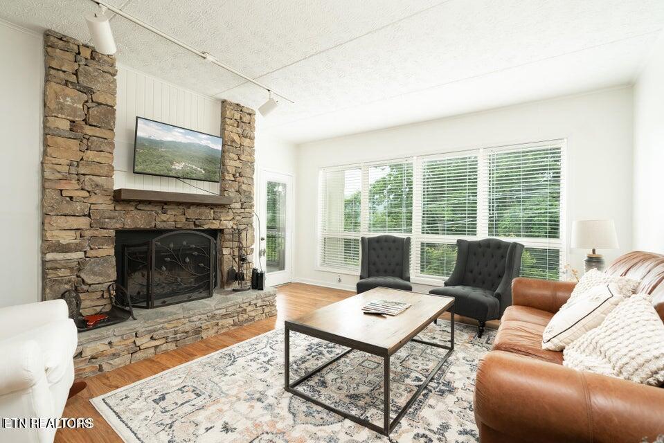 1130 Ski View Drive UNIT 115