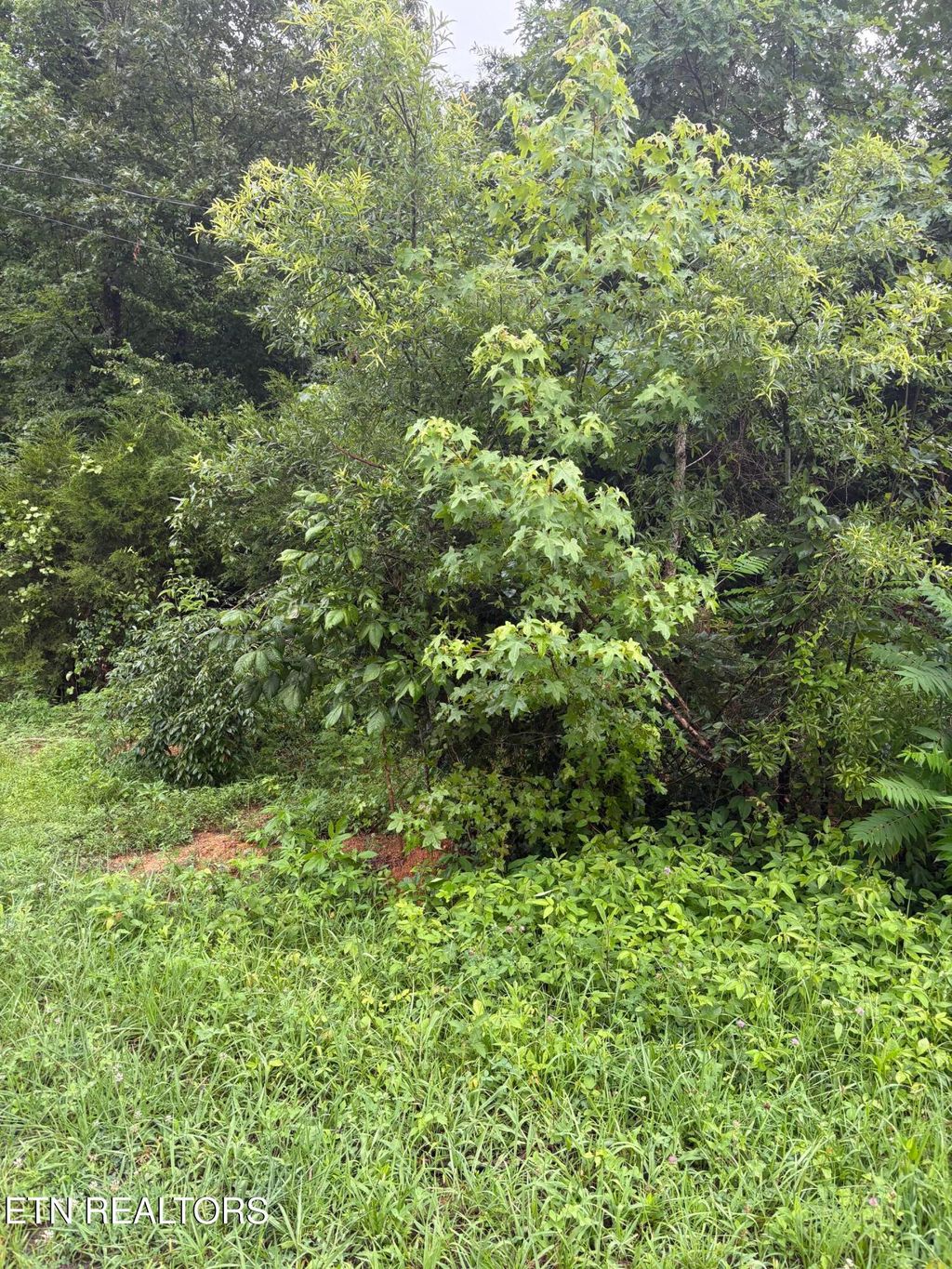 Photo of 349 Carolyn Lane, Decatur, TN 37322 (MLS # 1307022)