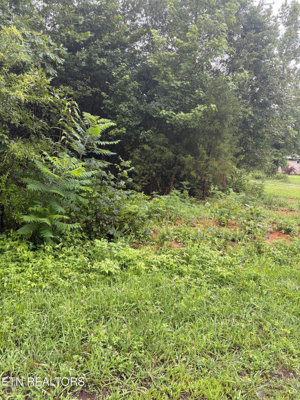 Photo of 349 Carolyn Lane, Decatur, TN 37322 (MLS # 1307022)