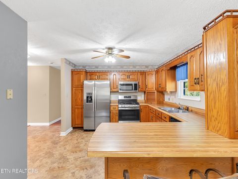 Tiny photo for 290 Whitaker Hollow Rd, Rocky Top, TN 37769 (MLS # 1330921)