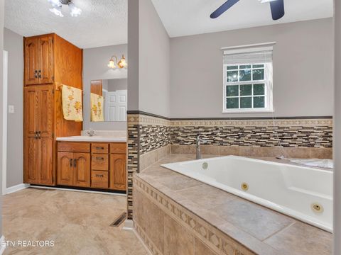 Tiny photo for 290 Whitaker Hollow Rd, Rocky Top, TN 37769 (MLS # 1330921)