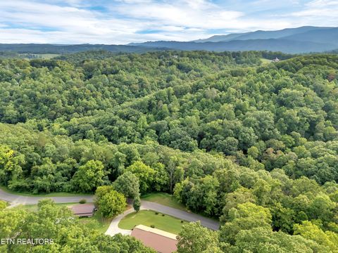 Tiny photo for 290 Whitaker Hollow Rd, Rocky Top, TN 37769 (MLS # 1330921)