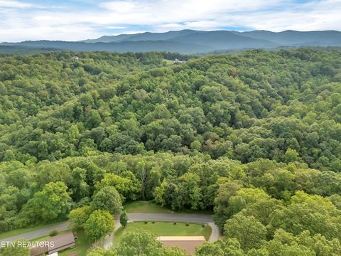 Tiny photo for 290 Whitaker Hollow Rd, Rocky Top, TN 37769 (MLS # 1330921)