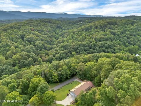 Tiny photo for 290 Whitaker Hollow Rd, Rocky Top, TN 37769 (MLS # 1330921)