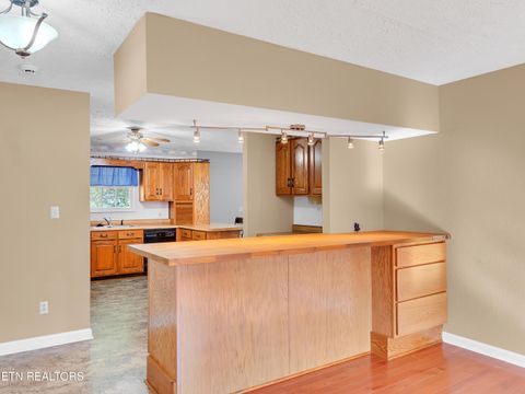 Tiny photo for 290 Whitaker Hollow Rd, Rocky Top, TN 37769 (MLS # 1330921)