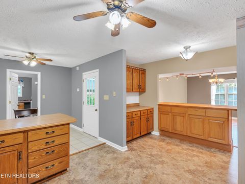 Tiny photo for 290 Whitaker Hollow Rd, Rocky Top, TN 37769 (MLS # 1330921)