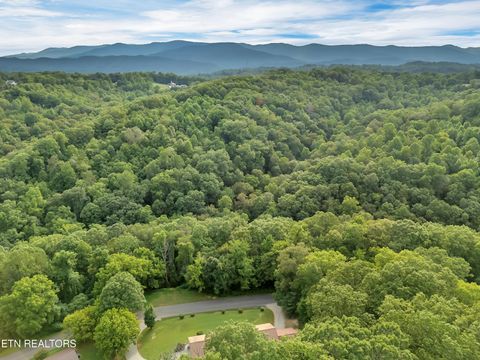 Tiny photo for 290 Whitaker Hollow Rd, Rocky Top, TN 37769 (MLS # 1330921)
