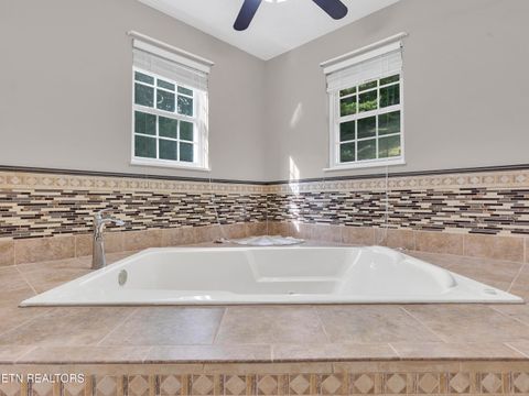 Tiny photo for 290 Whitaker Hollow Rd, Rocky Top, TN 37769 (MLS # 1330921)