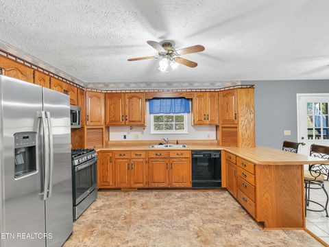 Tiny photo for 290 Whitaker Hollow Rd, Rocky Top, TN 37769 (MLS # 1330921)