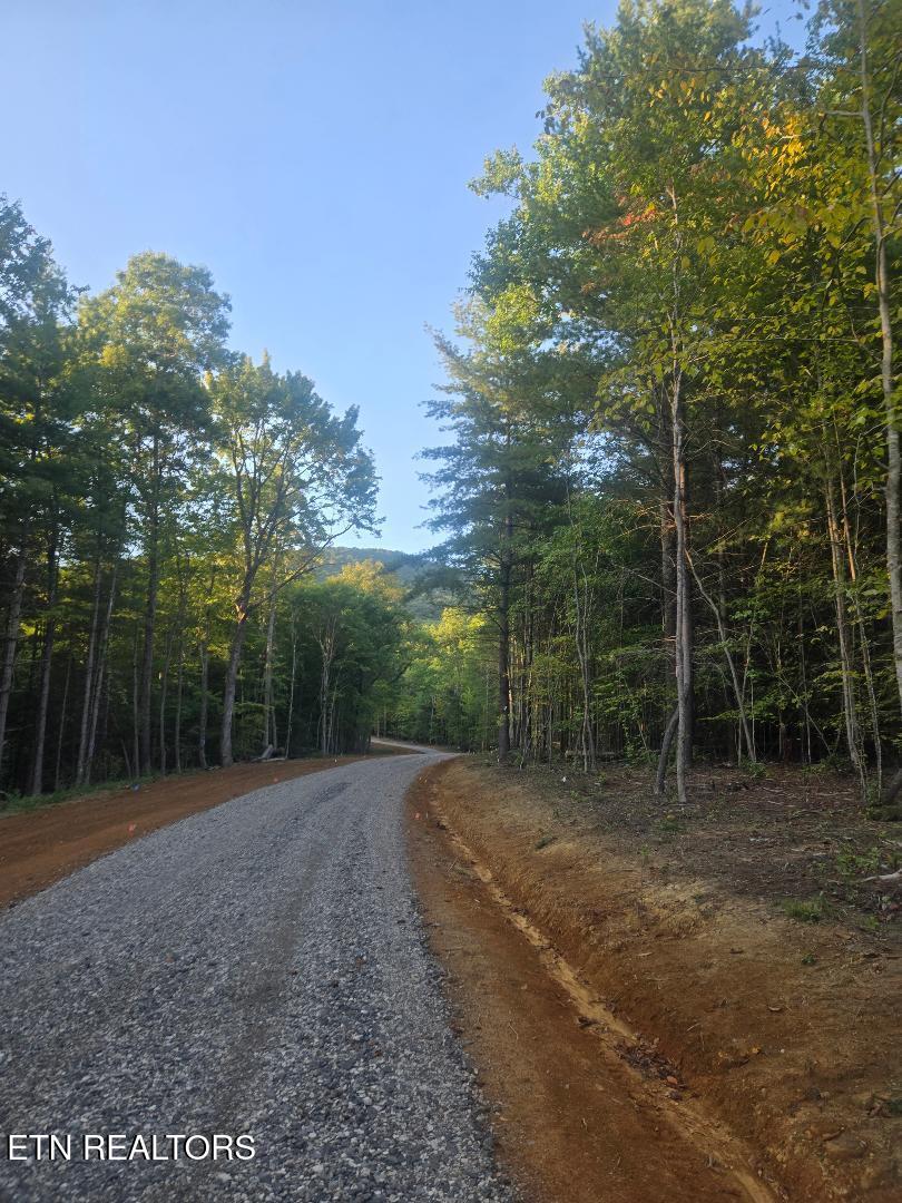 Photo of 2 Ravenwood Drive, Wartburg, TN 37887 (MLS # 1355043)