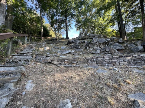 Tiny photo for 142 Rayahs Way, Quebeck, TN 38579 (MLS # 1357646)