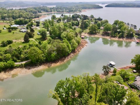 Tiny photo for 886 Tate Road Rd, Bean Station, TN 37708 (MLS # 1298866)
