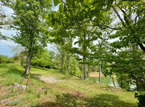 Tiny photo for 886 Tate Road Rd, Bean Station, TN 37708 (MLS # 1298866)