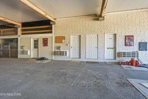 Tiny photo for 1271 New Hope Rd, Rockwood, TN 37854 (MLS # 1330296)