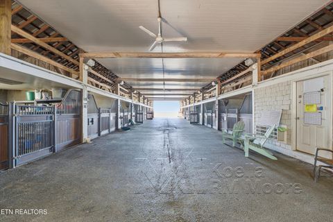 Tiny photo for 1271 New Hope Rd, Rockwood, TN 37854 (MLS # 1330296)