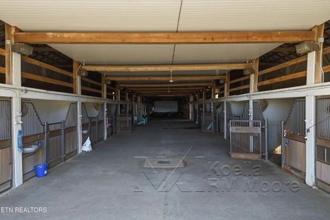 Tiny photo for 1271 New Hope Rd, Rockwood, TN 37854 (MLS # 1330296)