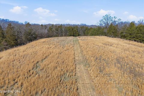 Tiny photo for 1271 New Hope Rd, Rockwood, TN 37854 (MLS # 1330296)