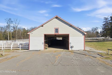 Tiny photo for 1271 New Hope Rd, Rockwood, TN 37854 (MLS # 1330296)