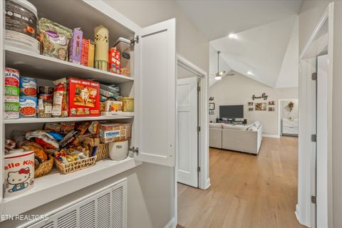 Tiny photo for 6035 Bingham Lane, Maryville, TN 37801 (MLS # 1332697)