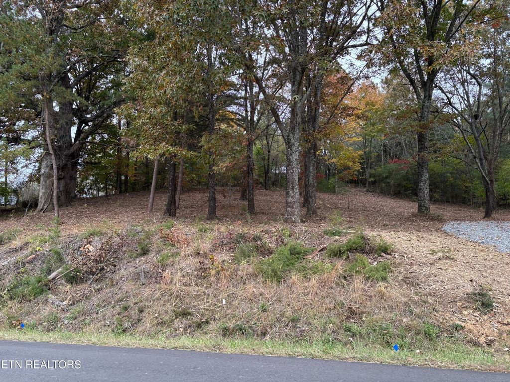 Photo of 282 S Long Hollow Rd, Maryville, TN 37803 (MLS # 1320628)