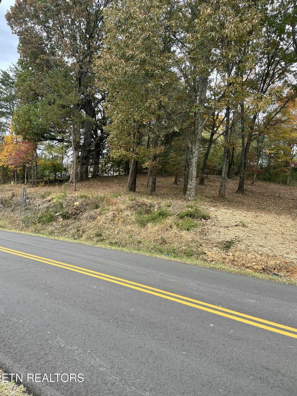 Photo of 282 S Long Hollow Rd, Maryville, TN 37803 (MLS # 1320628)