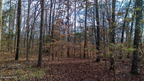 Tiny photo for 4 Armstrong Drive, Dandridge, TN 37725 (MLS # 1324461)