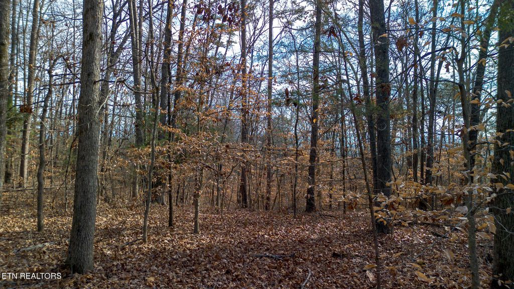 Photo of 4 Armstrong Drive, Dandridge, TN 37725 (MLS # 1324461)