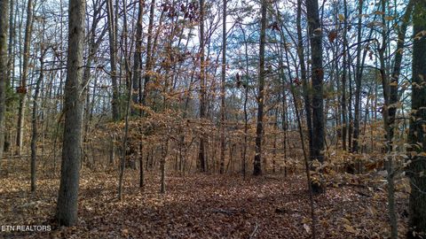 Photo of 4 Armstrong Drive, Dandridge, TN 37725 (MLS # 1324461)