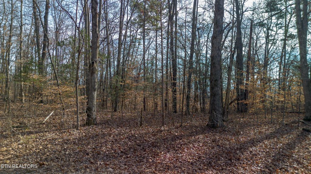 Photo of 4 Armstrong Drive, Dandridge, TN 37725 (MLS # 1324461)