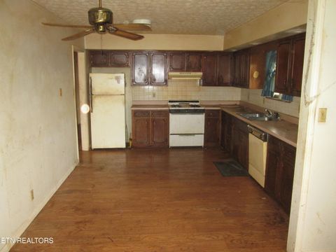 Tiny photo for 8236 Spruceland Rd, Powell, TN 37849 (MLS # 1328452)