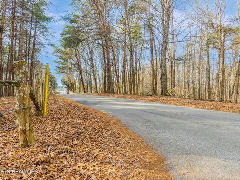 Tiny photo for County Rd. 262 Lot 9, Niota, TN 37826 (MLS # 1328086)