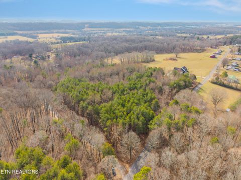 Tiny photo for County Rd. 262 Lot 9, Niota, TN 37826 (MLS # 1328086)