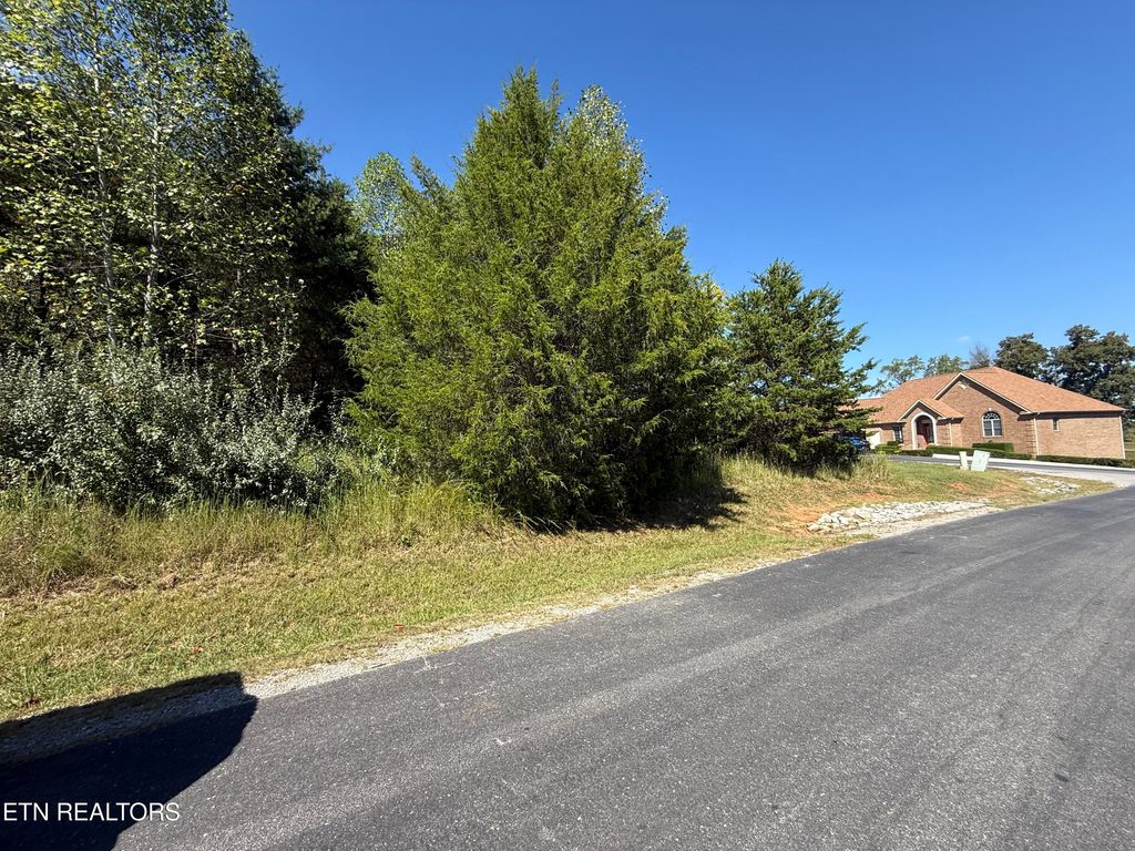 Photo of 104 Nunyu Tr, Vonore, TN 37885 (MLS # 1318070)
