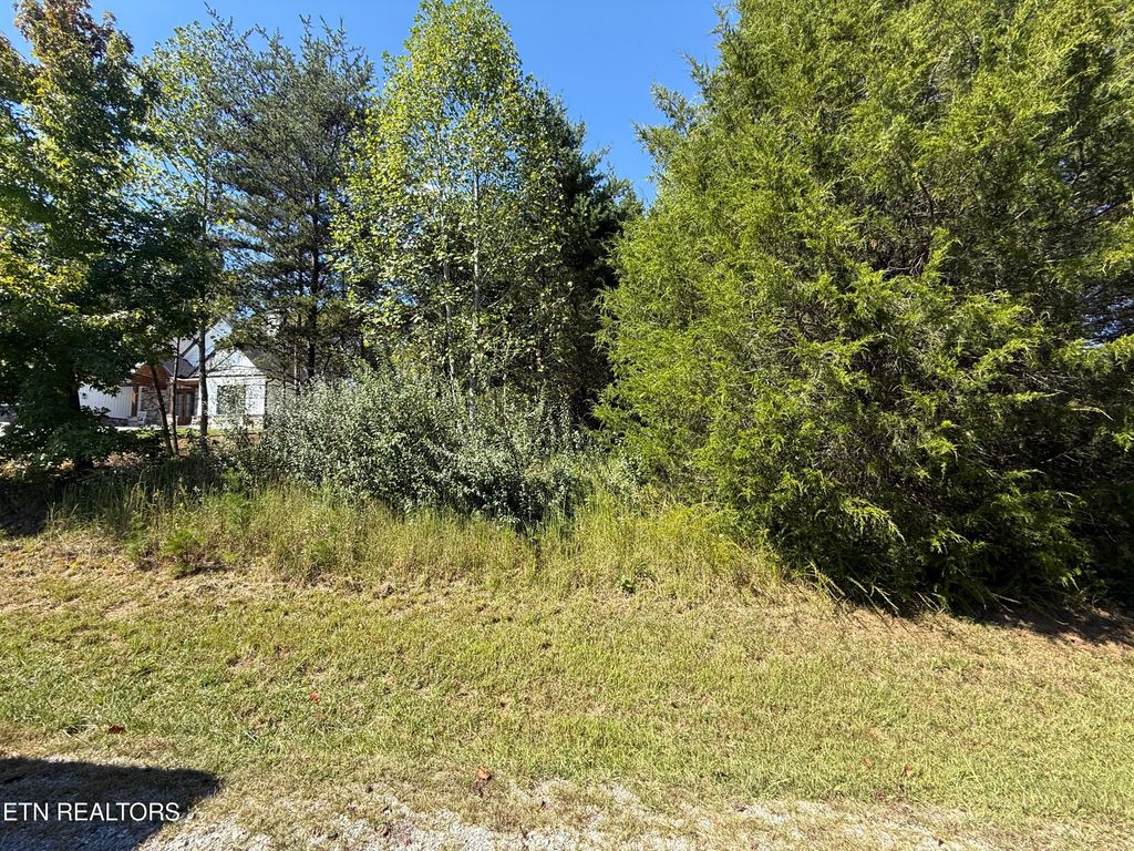Photo of 104 Nunyu Tr, Vonore, TN 37885 (MLS # 1318070)