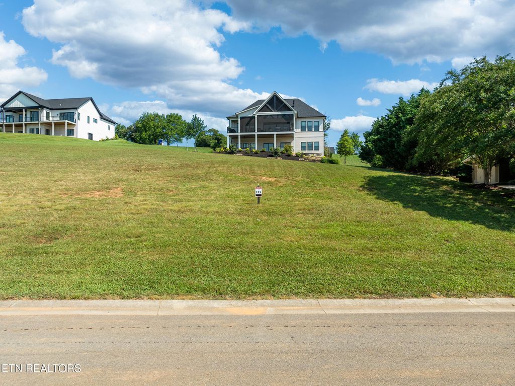 Photo of 439 Chestnut Lane, Loudon, TN 37774 (MLS # 1308193)