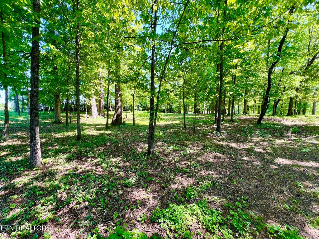 Photo of 729 E Hunt Rd, Alcoa, TN 37701 (MLS # 1338906)