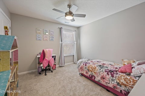 Tiny photo for 7502 Game Bird St, Corryton, TN 37721 (MLS # 1357537)